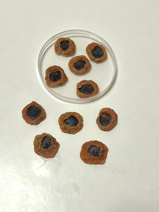Blueberry Cookies