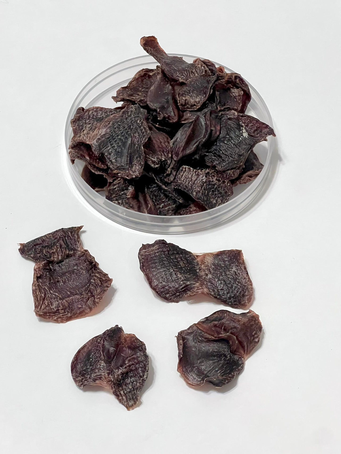 Duck Gizzard
