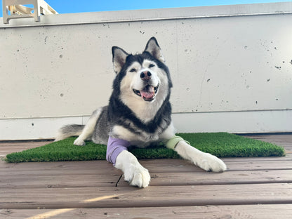 Dog Protective Join Sleeve *ETA Aug 15 2026*