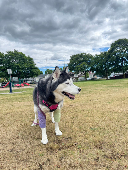Dog Protective Join Sleeve *ETA Aug 15 2026*