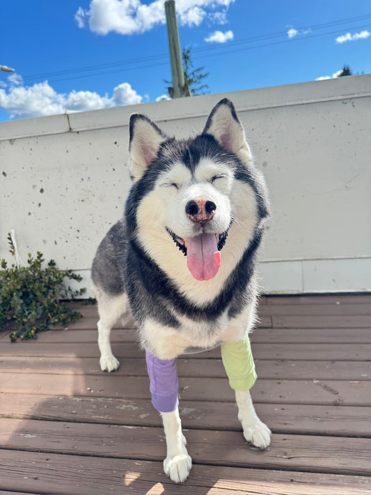 Dog Protective Join Sleeve *ETA Aug 15 2026*